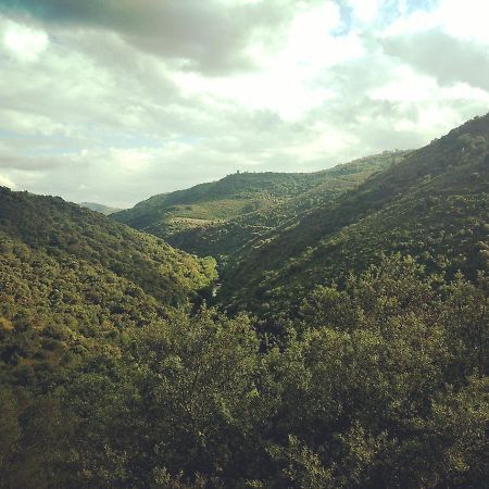 Casa De Pimenteis Villa Vimioso ภายนอก รูปภาพ