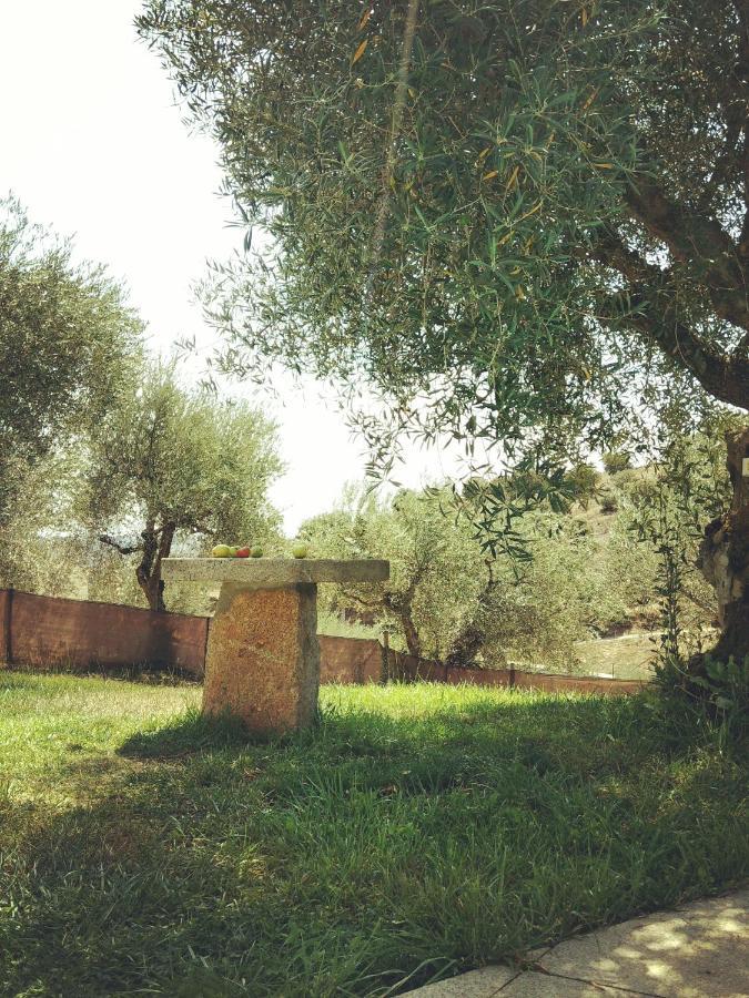 Casa De Pimenteis Villa Vimioso ภายนอก รูปภาพ