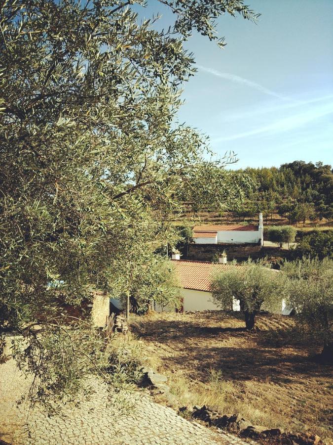 Casa De Pimenteis Villa Vimioso ภายนอก รูปภาพ