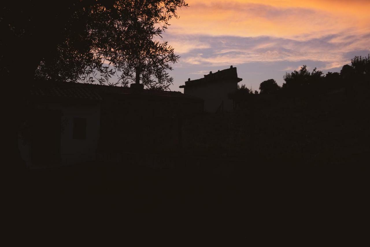 Casa De Pimenteis Villa Vimioso ภายนอก รูปภาพ